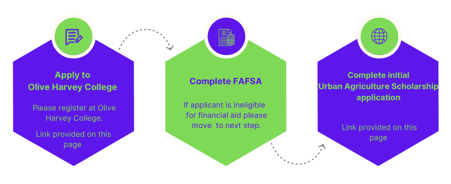 ScholarshipFlowDiagram2.png