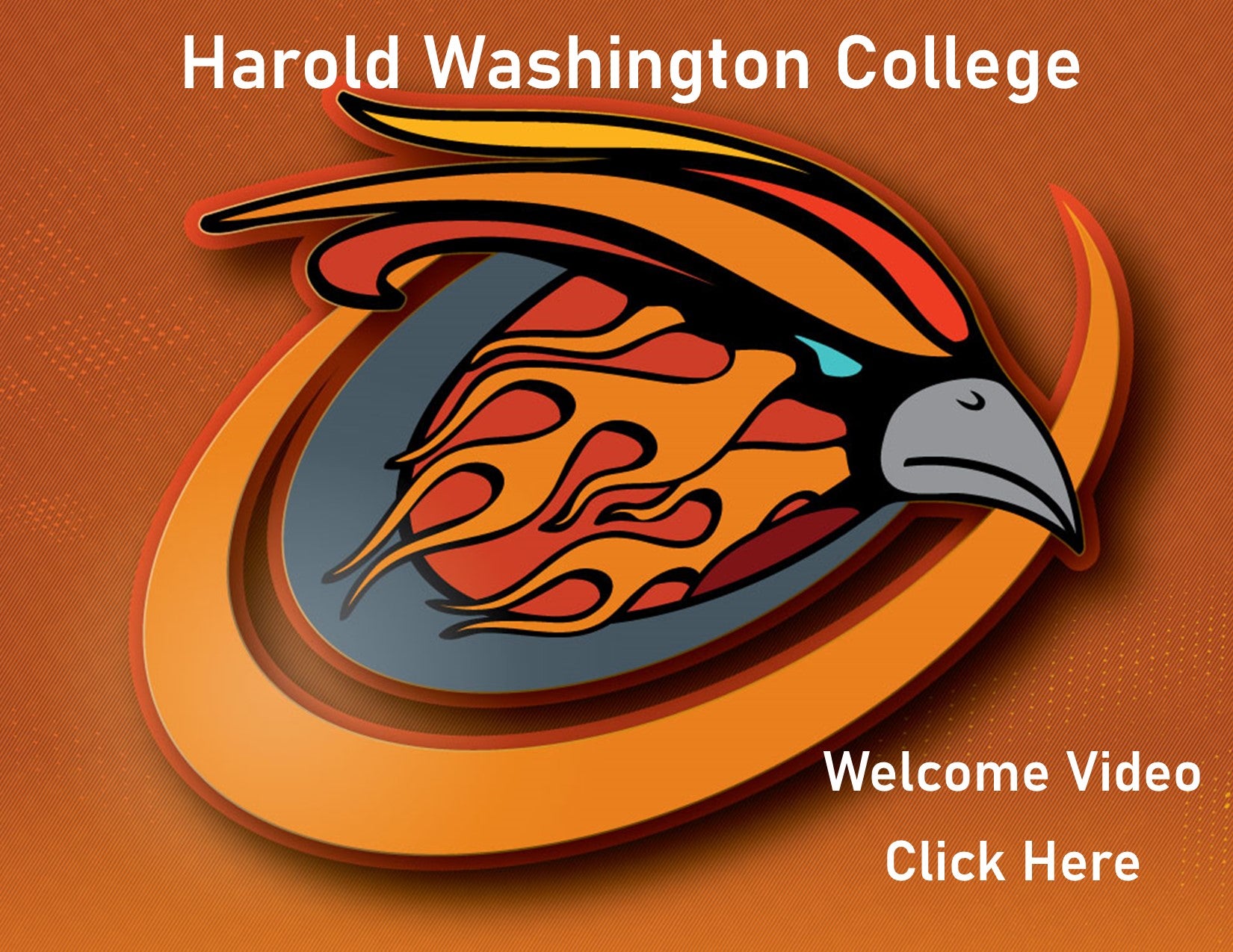 Advising Office City Colleges of Chicago